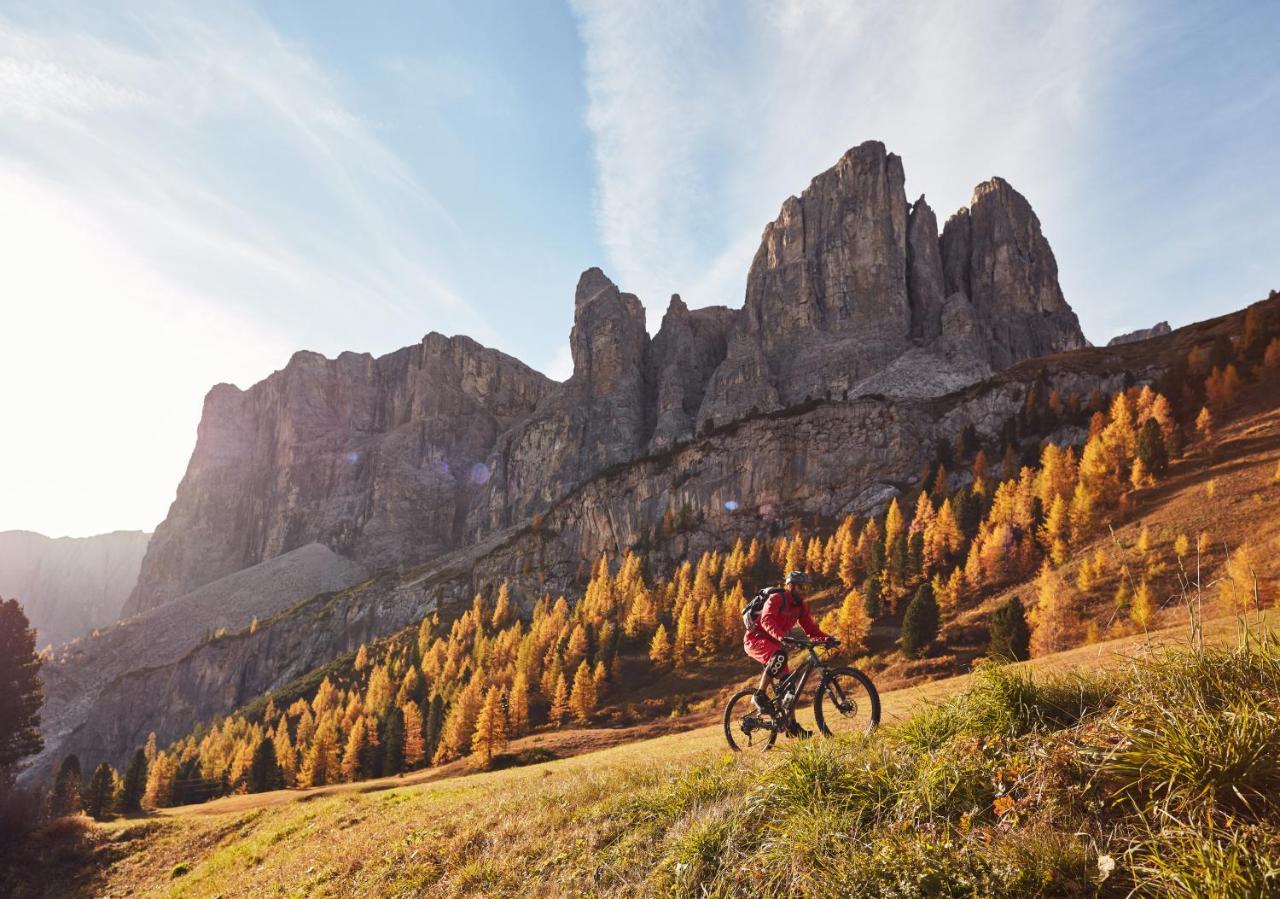 Elisabeth Dolomites Alpin&charme 4*