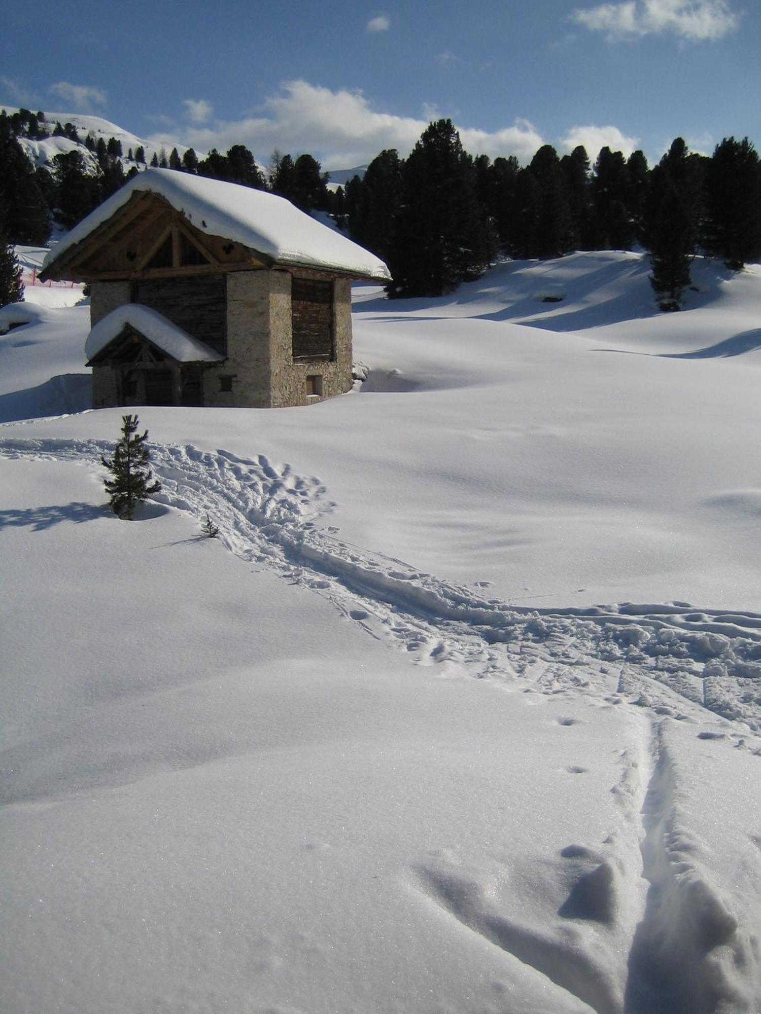 Hotel Elisabeth Dolomites Alpin & Charme Selva di Val Gardena